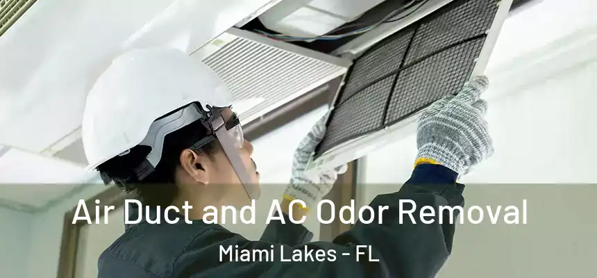 Air Duct and AC Odor Removal Miami Lakes - FL