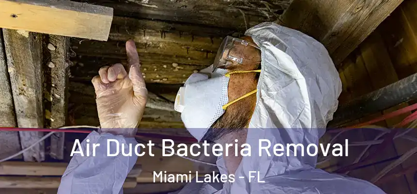 Air Duct Bacteria Removal Miami Lakes - FL