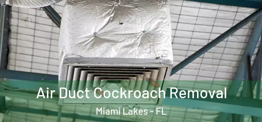 Air Duct Cockroach Removal Miami Lakes - FL