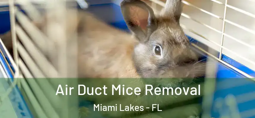 Air Duct Mice Removal Miami Lakes - FL