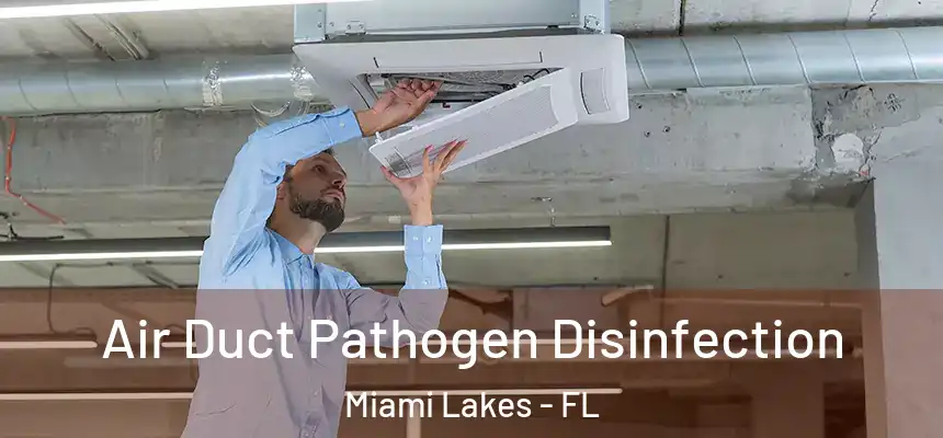 Air Duct Pathogen Disinfection Miami Lakes - FL