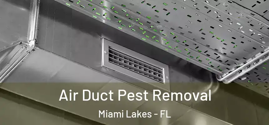 Air Duct Pest Removal Miami Lakes - FL