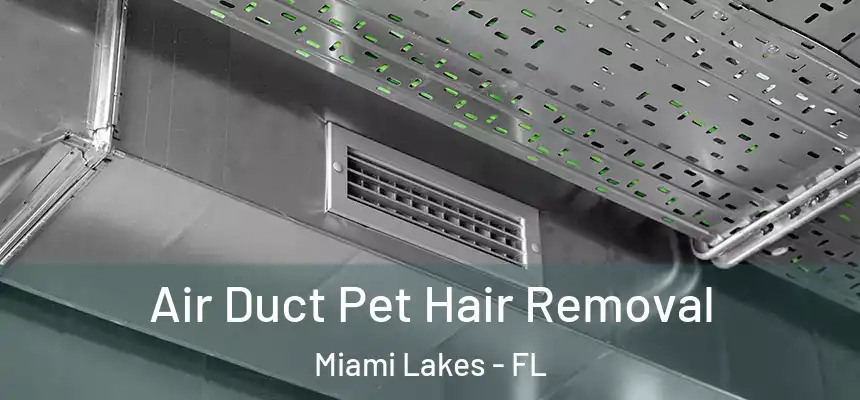 Air Duct Pet Hair Removal Miami Lakes - FL