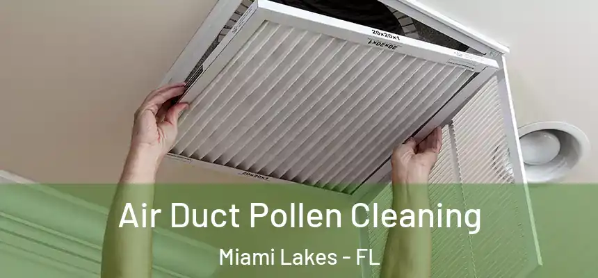 Air Duct Pollen Cleaning Miami Lakes - FL