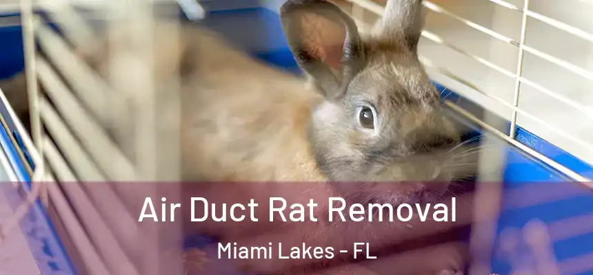 Air Duct Rat Removal Miami Lakes - FL