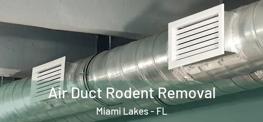 Air Duct Rodent Removal Miami Lakes - FL