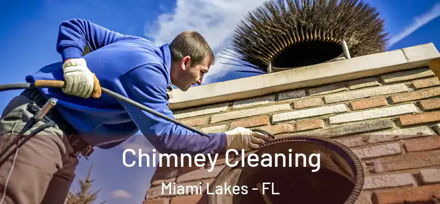 Chimney Cleaning Miami Lakes - FL