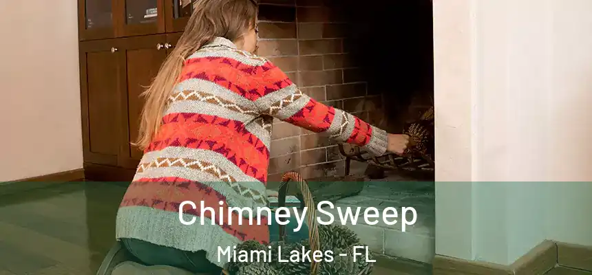 Chimney Sweep Miami Lakes - FL