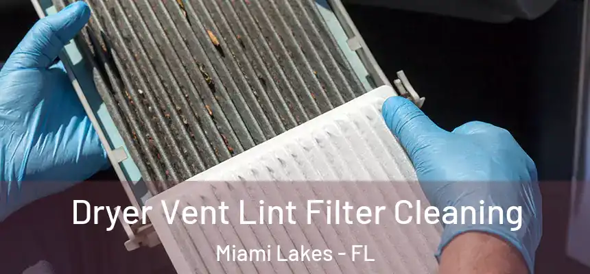  Dryer Vent Lint Filter Cleaning Miami Lakes - FL