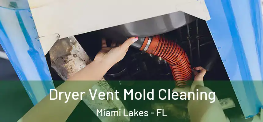 Dryer Vent Mold Cleaning Miami Lakes - FL