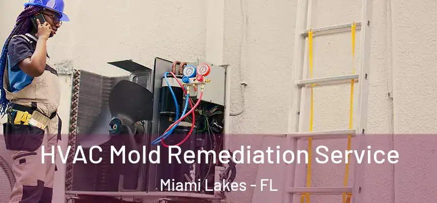 HVAC Mold Remediation Service Miami Lakes - FL