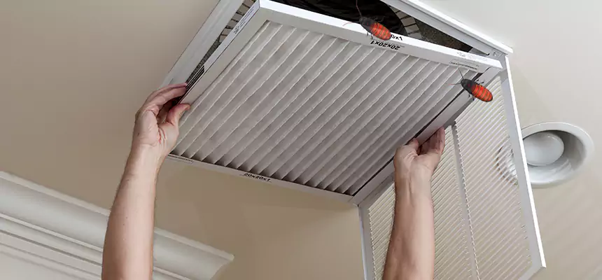 Preventive Cockroach-Proofing for Ducts in Miami Lakes