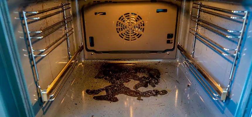 Our Dryer Vent Mold Cleaning Services in Miami Lakes, FL