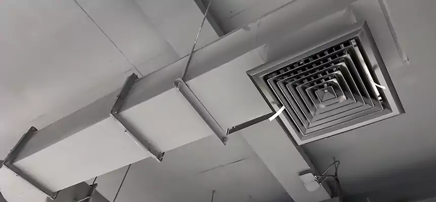 Our Pest Removal From Ducts Services in Miami Lakes, FL