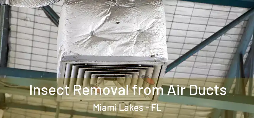 Insect Removal from Air Ducts Miami Lakes - FL