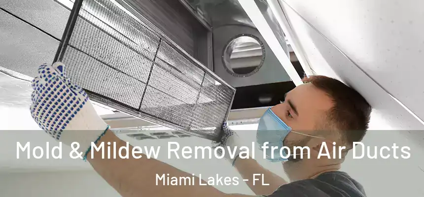 Mold & Mildew Removal from Air Ducts Miami Lakes - FL