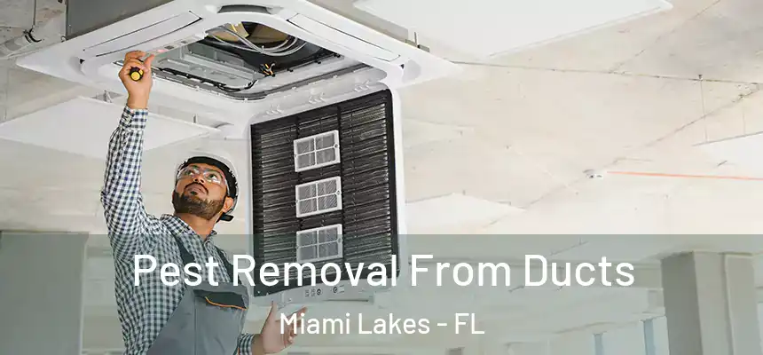 Pest Removal From Ducts Miami Lakes - FL