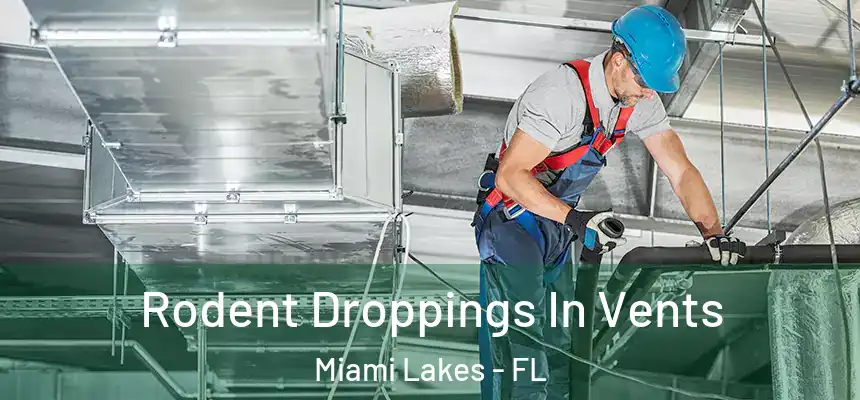 Rodent Droppings In Vents Miami Lakes - FL