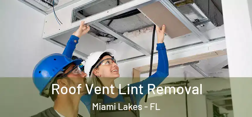 Roof Vent Lint Removal Miami Lakes - FL