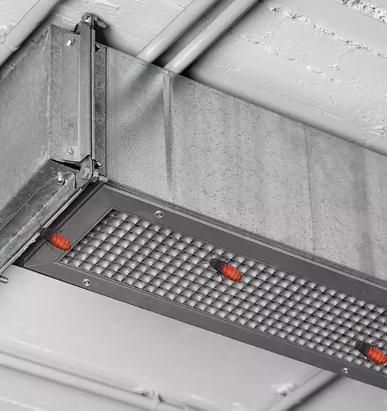 About Air Duct Cockroach Removal in Miami Lakes, FL