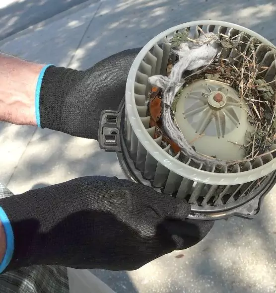 About Air Duct Mice Removal in Miami Lakes, FL