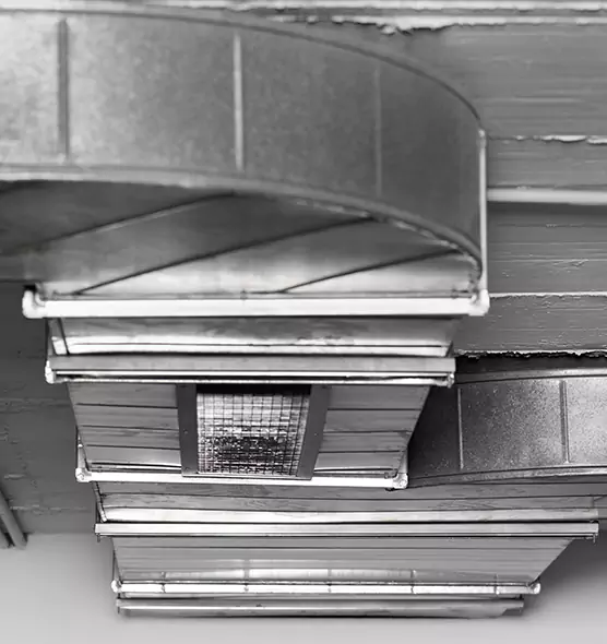 Professional Air Duct Pet Hair Removal in Miami Lakes, FL