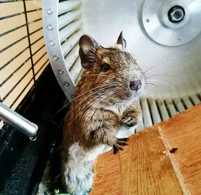 Why Homeowners & Businesses Trust Us Miami Lakes, FL