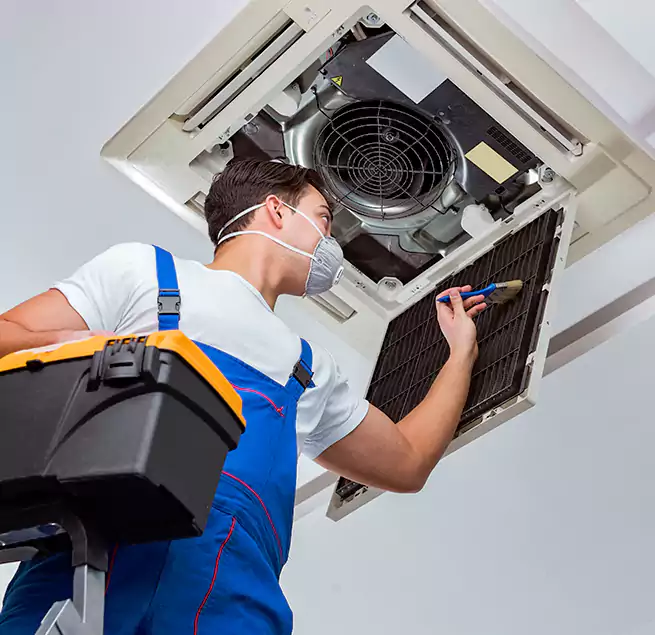 Why Homeowners & Businesses Trust Us in Miami Lakes, FL