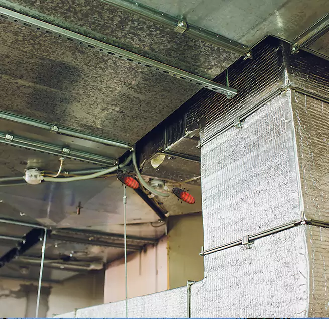 Why Homeowners & Businesses Trust Us Miami Lakes, FL?