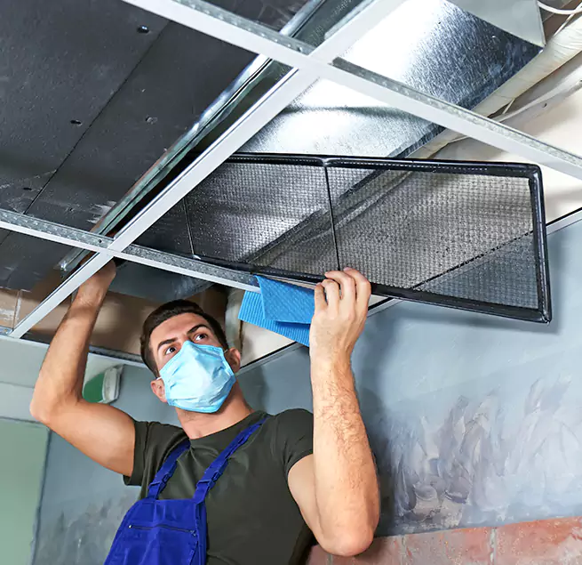 Why Homeowners & Businesses Trust Us in Miami Lakes, FL?